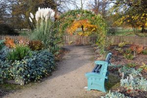 Sensory garden featuring a green bench and a plant covered archway