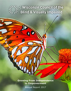 Cover of 2017 Annual Report