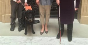 Three people's legs and feet with a white cane and a service dog.
