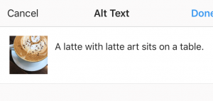 A screenshot of writing alt text for an Instagram image.