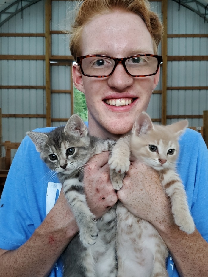 A young man holding two kittens
