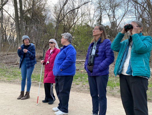 A group of birders standing on a path