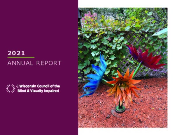 2021 WCBVI Annual Report Thumbnail