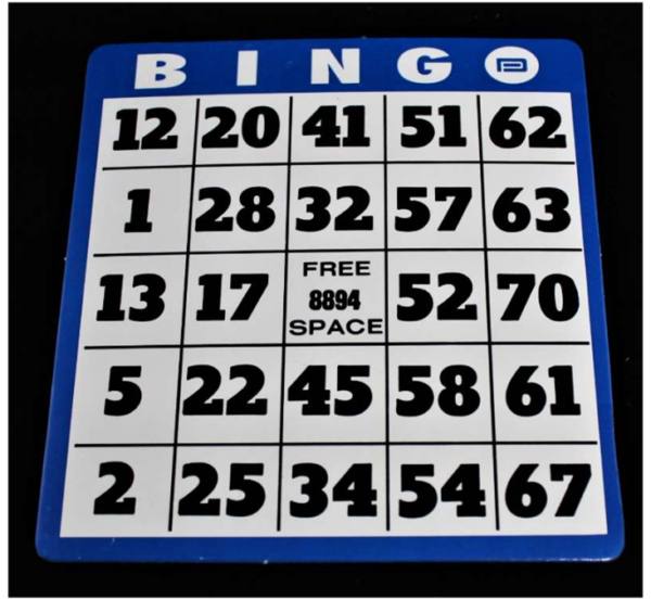 Large print Bingo card