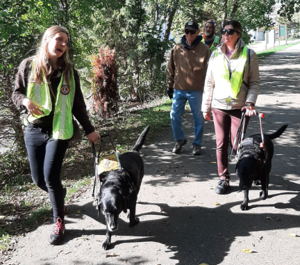 A group of people hiking, some of them using guide dogs