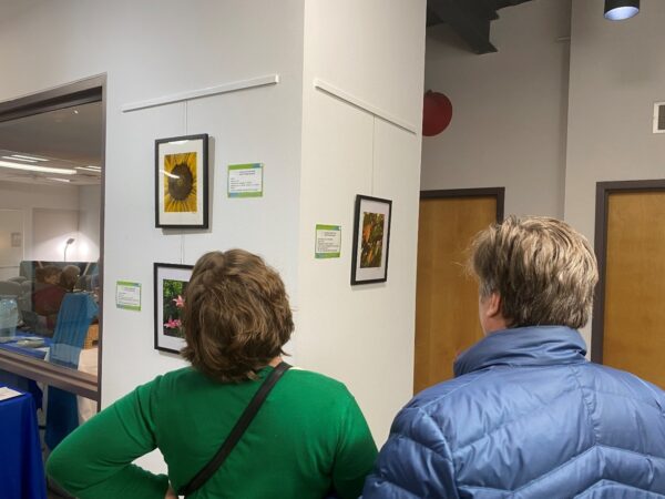 Two people looking at photographs on a wall