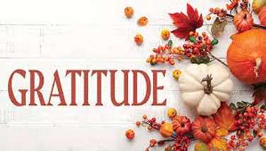 Pumpkins, berries, leaves and the word Gratitude on a white background