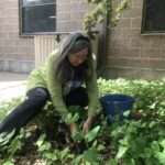 Gardener collecting soil sample
