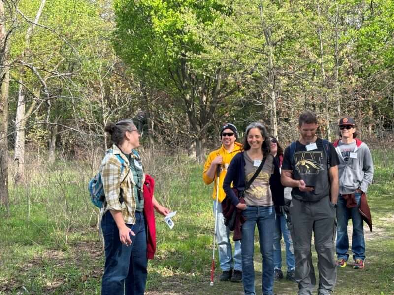 A group of birders standing on a path through the woods.