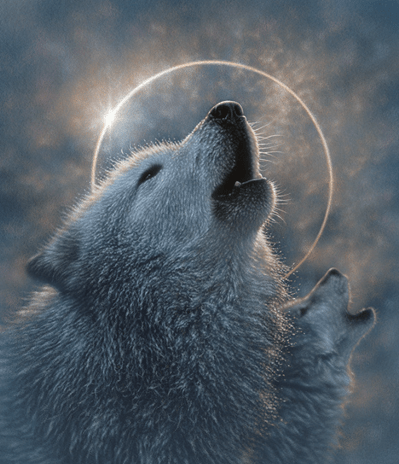 Pen and ink drawing of two wolves howling at an eclipse.