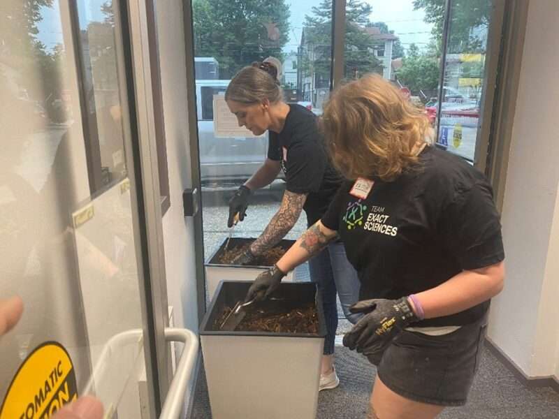 Two volunteers in the Council lobby planting herbs in large planters.