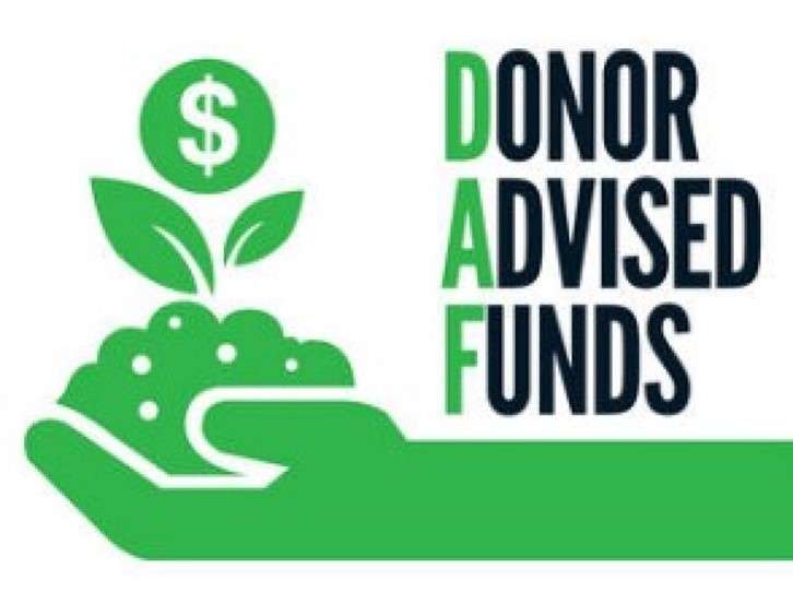 Graphic of a hand holding a dollar sign plant growing out of some dirt and the words Donor Advised Funds.