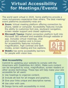 Preview of 2020 Activities and Making Meetings Accessible PDF