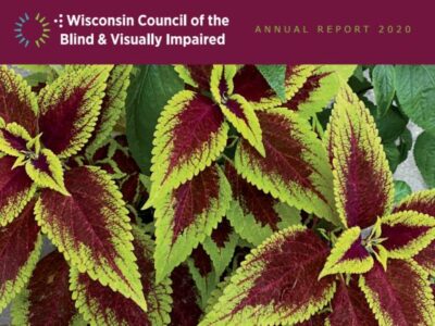 WCBVI Annual Report Cover 2020
