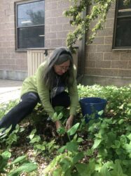 Gardener collecting soil sample