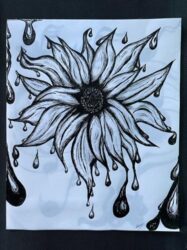 Drawing of a flower with droplets dripping from its petals