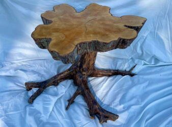 Wooden table with a cypress cross section top and tree root base.
