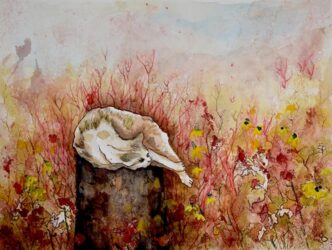 A white cat curled up on a tree stump among a field of red and yellow flowers