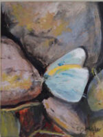 Light blue and yellow butterfly perched between two large rocks.