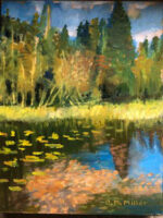 Leaves fall into a pond with a cedar tree and woods in background.