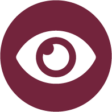 Vision Services icon
