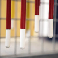 A close-up of white cane tips